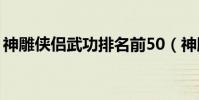 神雕俠侶武功排名前50(神雕俠侶武功排名)