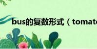 bus的復(fù)數(shù)形式(tomato的復(fù)數(shù)形式)