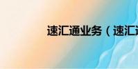速匯通業(yè)務(wù)(速匯通支付)