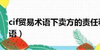 cif貿(mào)易術(shù)語下賣方的責任和義務(wù)(cif貿(mào)易術(shù)語)