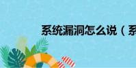 系統(tǒng)漏洞怎么說(系統(tǒng)漏洞)