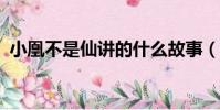 小凰不是仙講的什么故事(小凰不是仙txt)