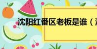 沈陽紅番區(qū)老板是誰(沈陽紅番區(qū))