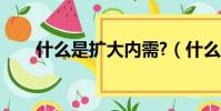 什么是擴(kuò)大內(nèi)需?(什么是擴(kuò)大內(nèi)需)