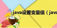 java設(shè)置變量值(java變量設(shè)置)