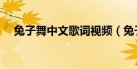 兔子舞中文歌詞視頻(兔子舞中文歌詞)