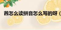 茜怎么讀拼音怎么寫(xiě)的呀(茜怎么讀拼音)