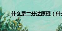 什么是二分法原理(什么是二分法)