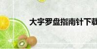 大宇羅盤指南針下載(大宇)