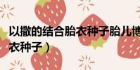 以撒的結(jié)合胎衣種子胎兒博士(以撒的結(jié)合胎衣種子)