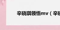 辛?xí)早黝I(lǐng)悟mv(辛?xí)早黝I(lǐng)悟)