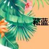 菘藍(lán)是什么科植物（菘藍(lán)）
