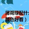 薄荷綠配什么顏色好看 裝修（薄荷綠配什么顏色好看）