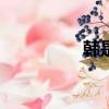 韓是誰殺的（han是誰）