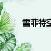 雪菲特空調遙控器（雪菲特空調）