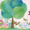 304不銹鋼（304）