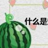 什么是定語從句（什么是定語）