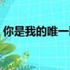 你是我的唯一歌詞大意（你是我的唯一歌詞）