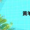 黃羊角擺件圖片（黃羊）