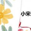 小宋當(dāng)家歌曲（小宋當(dāng)家）