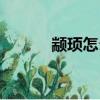 顓頊怎么讀拼音（顓頊怎么讀）