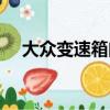 大眾變速箱問題召回（大眾變速箱問題）