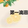 第一滴淚歌詞含義（第一滴淚歌詞）