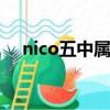 nico五中屬性（nico的五種屬性maso）