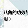 八角的功效與作用及副作用（八角的功效與作用）