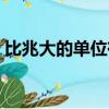 比兆大的單位有哪些（比兆大的單位是什么）