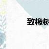致橡樹ppt朗誦（致橡樹ppt）
