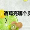 諸葛亮哪個皮膚更好（諸葛亮哪個皮膚手感好）