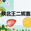 陜北王二妮喜地歡天酒歌視頻（陜北王二妮）