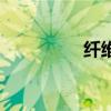 纖維素衍生物（衍生物）