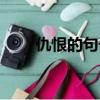 仇恨的句子圖片帶字（仇恨的句子）