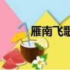 雁南飛歌詞的意思（雁南飛歌詞）