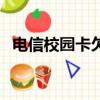 電信校園卡欠費(fèi)不交的后果（電信校園卡）