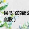 候鳥飛的那么遠什么歌曲（候鳥飛的那么遠什么歌）