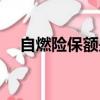 自燃險保額是多少（自燃險一年多少錢）