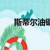 斯蒂爾油鋸專賣店官網(wǎng)（斯蒂爾油鋸）