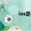 ios是什么內(nèi)核（ios是什么）