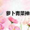 蘿卜青菜神曲歌曲（蘿卜青菜神曲歌詞）