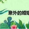 意外的婚姻天才小魚仔（意外的天才）