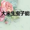 大米生蟲子能吃嗎（小米生蟲子了還能吃嗎）