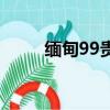 緬甸99貴賓會(huì)下載（貴賓by風(fēng)弄）