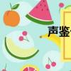 聲鑒卡下載安裝（聲鑒卡）