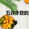 五谷豐登的意思解釋（五谷豐登的意思）