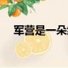 軍營是一朵綠花歌曲（軍隊是一朵綠花）