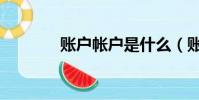 賬戶帳戶是什么(賬戶帳戶)