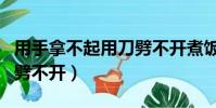 用手拿不起用刀劈不開(kāi)煮飯(用手拿不起用刀劈不開(kāi))
